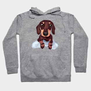 Cute Dachshund Puppy Dog Hoodie